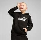 PUMA Kapuzensweatshirt ESS NO. 1 LOGO HOODIE FL PS mit Kapuze, mit gerippten