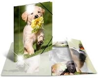 HERMA Organisationsmappe Herma Sammelmappe Eckspanner PP A4 Glossy Hunde