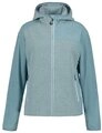 Icepeak Fleecejacke ICEPEAK BRADGATE EISBLAU