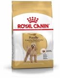 Royal Canin Breed Pudel Adult 1,5 kg, Trockenfutter f&uuml;r: Hund