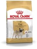 Royal Canin Breed Mops Adult 3 kg, Trockenfutter f&uuml;r: Hund