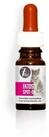 7Pets Zeckenschutzmittel Ektosol Spot on f&uuml;r Katzen 10 ml, 10 ml