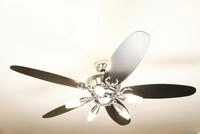 Westinghouse Deckenventilator Deckenventilator Arius mit Licht und Fernbedienung