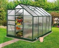 Vitavia Gew&auml;chshaus Venus 6200, BxTxH: 192 x 317 x 197 cm, 6 mm Wandst&auml;rke