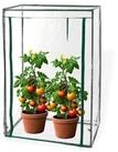 DEMA Tomatengew&auml;chshaus Tomaten Gew&auml;chshaus 100/50/150cm