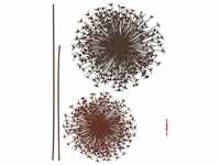 Komar Wandtattoo Pusteblume (4 St), 50x70 cm (Breite x Höhe), selbstklebendes