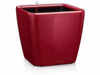 Lechuza Quadro LS 35 All-in-One Set scarlet rot hochglanz