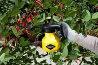 MESTO Druckspr&uuml;hger&auml;t Mesto BUGSI Druckspr&uuml;her 1 L, Pumpspr&uuml;her,