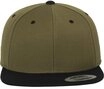 Flexfit Flex Cap Flexfit Unisex Classic Snapback 2-Tone
