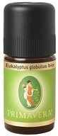 Primavera Life GmbH Duft&ouml;l Eukalyptus globulus bio, 5 ml