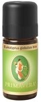 Primavera Life GmbH Duft&ouml;l EUKALYPTUS &Ouml;L kbA Cineol 85%, 10 ml