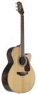 Takamine Westerngitarre, GN90CE ZC2, Westerngitarren, Grand Auditorium Gitarren,
