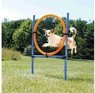 TRIXIE Agility-Reifen Fun Agility Ring - blau/orange - 115 &times; &oslash; 3 cm, &oslash; 65 cm,
