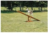 TRIXIE Agility-Wippe Fun Agility Wippe - diverse - 300 &times; 54 &times; 34 cm,...