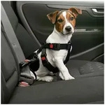 Karlie Autohundegeschirr Auto Sicherheitsgeschirr schwarz L (50-70cm)