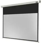 Celexon Professional Motorleinwand (schwarze R&uuml;ckseite) wei&szlig;