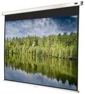Celexon Economy Rolloleinwand (schwarze R&uuml;ckseite)