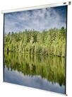 Celexon Economy Rolloleinwand (black_backside)