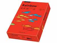 Papyrus Rainbow Intensiv (88042475)