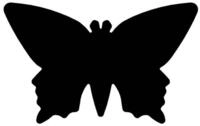 Werner Dorsch Locher Motivlocher gro&szlig; Schmetterling 2,3x1,5cm