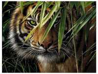 MAMMUT Spiel und Geschenk Malvorlage Tiger, 30 cm lang