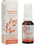 Bombastus-Werke AG Mundspray MUNDSPRAY