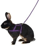 Kerbl Geschirr Schultergeschirr Agility 34 cm - 50 cm Bauchumfang 81761