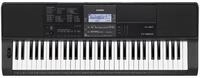 CASIO Home-Keyboard (Keyboards, Home Keyboards), CT-X800 - Keyboard