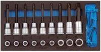 Gedore Schraubendreher, (19 St), Werkzeugmodul CT1/3 Einsatz Torx