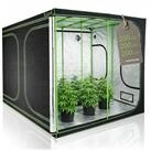 HIGHWERK Gew&auml;chshaus Grow Tent 200 x 200 x 200 cm schwarz/gr&uuml;n Pflanzenzucht