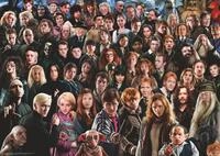 Ravensburger Verlag GmbH Puzzle Harry Potter, Challenge, Puzzleteile