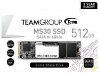 Teamgroup MS30 interne SSD (512)