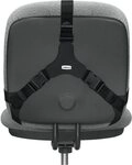 FELLOWES Stuhl R&uuml;ckenst&uuml;tze Professional Series HxBxT 36,5x37,5x5,5cm schwarz