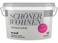 Schöner Wohnen Trendfarbe 1 l Wool