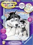 Ravensburger Malen nach Zahlen Husky Kuss, Made in Europe