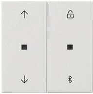 GIRA Schalter, Bedienelement 2f reinwei&szlig; System 3000 mit Abdeckung gl&auml;nzend