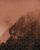 Komar Vliestapete Golden Grid, (1 St), 200x250 cm (Breite x Höhe),...