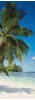 Komar Vliestapete Coconut Bay, (1 St), 100x280 cm (Breite x Höhe),...