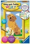 Ravensburger Malen nach Zahlen CreArt, Malen nach Zahlen Kinder - Kleiner Golden