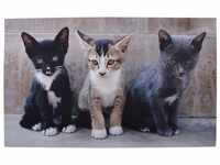 Fußmatte Türmatte Katzen Kinder 76x45 cm Fotodruck Türvorleger, esschert...