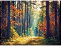 Papermoon Fototapete Autumn Forest Sun Rays, glatt