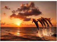 Papermoon Fototapete Sunset Jumping Dolphins, glatt