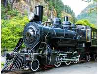PaperMoon Old Steam Locomotive 400 x 260 cm
