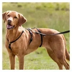 TRIXIE Hunde-Erziehungsgeschirr Panikgeschirr Stay - schwarz - 50&ndash;75 cm/20 mm,