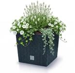 Prosperplast Blumentopf Rato Low (26,6 cm), inkl. Einsatz