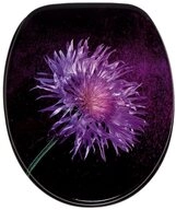 Sanilo WC-Sitz Purple Dust, mit Absenkautomatik, hochwertig & modern, universell,