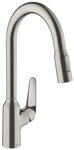 hansgrohe K&uuml;chenarmatur Focus M42 K&uuml;chenmischer 220 2jet mit Ausziehbrause
