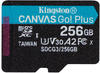 Kingston Canvas Go! Plus 256 GB microSDXC Speicherkarte (256 GB GB)