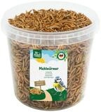 JR Farm Garden Mehlw&uuml;rmer 400 g Eimer, f&uuml;r: Vogel