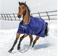 Bucas Pferde-Thermodecke Bucas Smartex Turnout Medium Classic 150g SD - blue